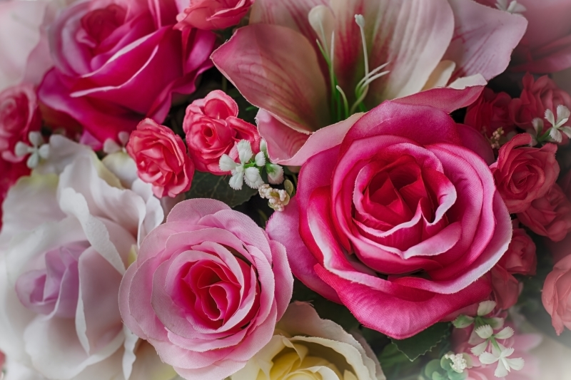 lp_support_shutterstock_444237679.jpg Comment prendre soin des roses fraîches achetées chez le fleuriste ? Les Trois-Îlets