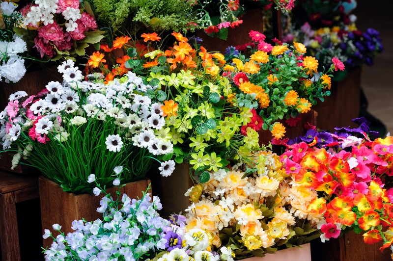 lp_support_shutterstock_90608029.jpg Quelles sont les fleurs saisonnières disponibles chez les fleuristes en automne ? Les Trois-Îlets